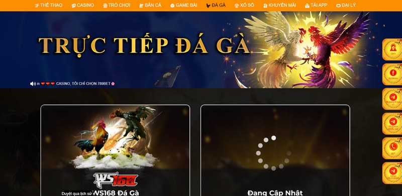 789Bet - Thương hiệu cá cược mang đẳng cấp thượng lưu 5 Sảnh Chơi Đá Gà Mang Đến Cược Thủ Nhiều Giây Phút Thăng Hoa